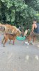 IMG_3200.jpeg