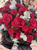 IMG_2123.jpeg