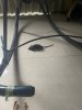 IMG_1746.jpeg