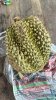 IMG_5011.jpeg