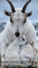 387A4511-9A0E-4099-A75B-B15E6AB462B6.png