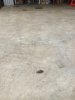 IMG_1921.jpeg