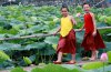 dep-long-lanh-hinh-anh-be-ben-sen-an-dut-hotgirl-ao-yem-8.jpg