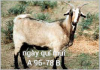 IMG_20140909_1.png