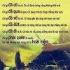 10 (11).jpg