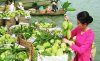 TOUR-CA-MAU-BAC-LIEU-SOC-TRANG-CTY-_2013610163314609.jpg