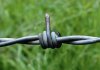 1074177_a8.jpg