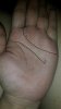 20150111_123850.jpg