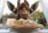 6ba56254c3c6a622d9c998d0c48f5182.gif