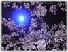 moon-photo10.jpg
