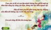 nhung-cau-noi-hay-ve-tinh-yeu-21.jpg