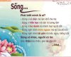 y-nghia-cuoc-song-5.jpg