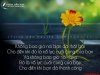 nhung-stt-tam-trang-buon-ve-cuoc-song-cuc-ky-y-nghia-1[1].jpg