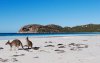 Kangaroo_Beach-perth-australia[1].jpg
