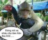 image.jpeg