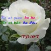 KOAI1604521_1551132421773076_8847620010359428998_n.jpg