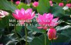 danh-ngon-cuoc-song-243.jpg