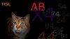Cats-367.jpg