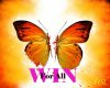 Colors-Wallpaper-1-27.jpg