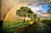 rainbow-22.jpg