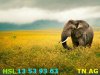 Stunning-National-Geographic-15.jpg