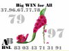 255rose-shoe-m.jpg