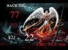 THIEN THAN 77-22 MB.jpg