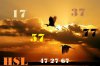 beautiful-bird-p2-10.jpg