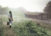 muabuon.gif