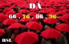 p3-anh-dep-cuoc-song11.jpg