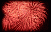 PHAO 2.gif