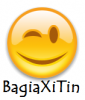 EMOTICON BLINK.png