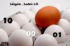 1-1003110UJ4.jpg