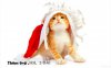 Cat with Christmas Hat.jpg