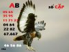 wild-life-125-1024x768.jpg