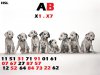Dalmatian_puppies.jpg