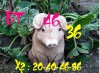 8HTUQOCAOEDTF8CAUVS1U9CATAMX2NCASRZGRJCAER6MASCAHAF1YYCAXUQNN5CAJZ4M35CATFDV6QCA3X37IECA0GC3MTCA.jpg