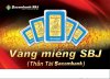 vang SBJ.jpg