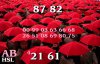 p3-anh-dep-cuoc-song11.jpg