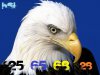 Birds-64.jpg