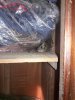 20161008_155817.jpg
