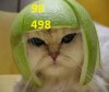 con meo1.jpg