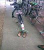 t726107.jpg
