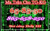 matrix copy.JPG