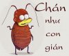 gian2.jpg