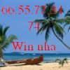 thumb_12944641843610_1ty_vn-cay-dua-ben-bo-bien-coco_3019.jpg