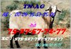 2011-12-20-16-40-25zuz1299137593.jpg