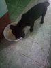 IMG20170428132549.jpg