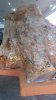 20170111_153124.jpg