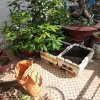 20170527_083731.jpg